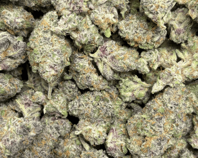 Black Cherry Tropicana (3)