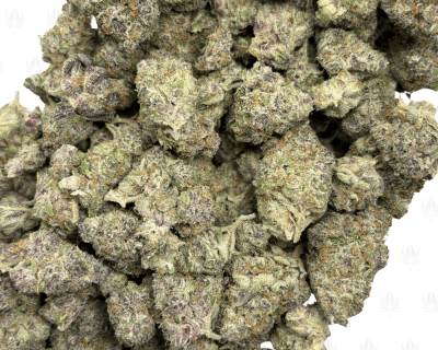 Black Cherry Tropicana