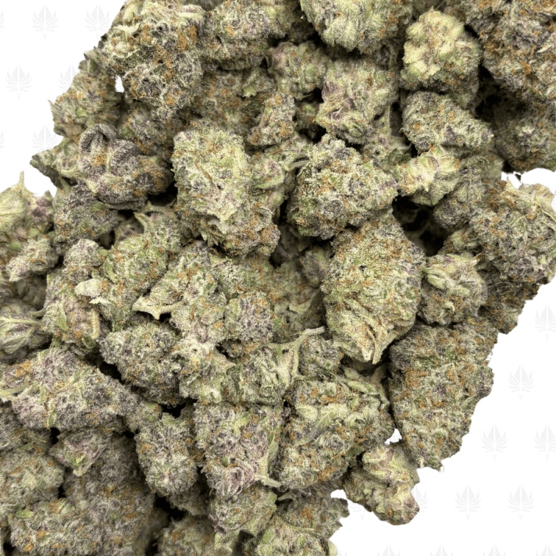 Black Cherry Tropicana