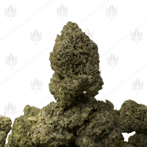 Diesel Bubba