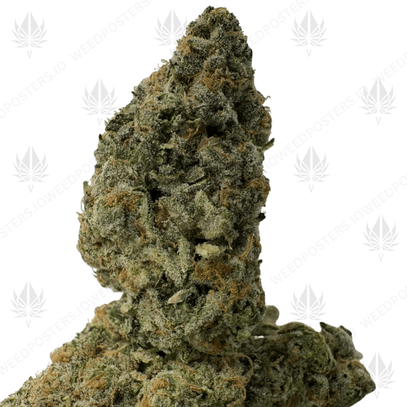 Ice Cream Cake (3) Ice Cream Cake (3)