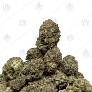 PURPLE OG (TRIP GAS) - Image 1