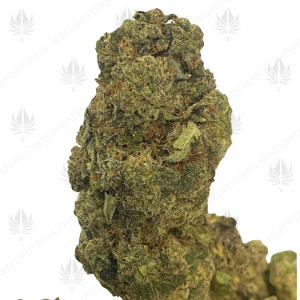 DONKEY BUTTER (TRIP EXOTICS) - Image 1