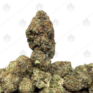 PLATINUM PINK VVS (LSO GAS) - Image 1