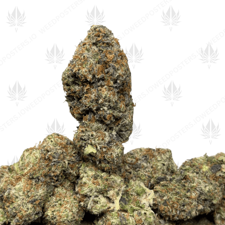 PLATINUM PINK VVS (LSO GAS)
