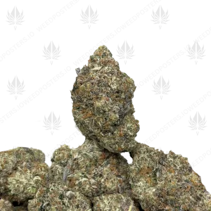 PINK HELLFIRE (LSO GAS) - Image 1