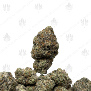 LUCIFER PINK (LSO GAS) - Image 1