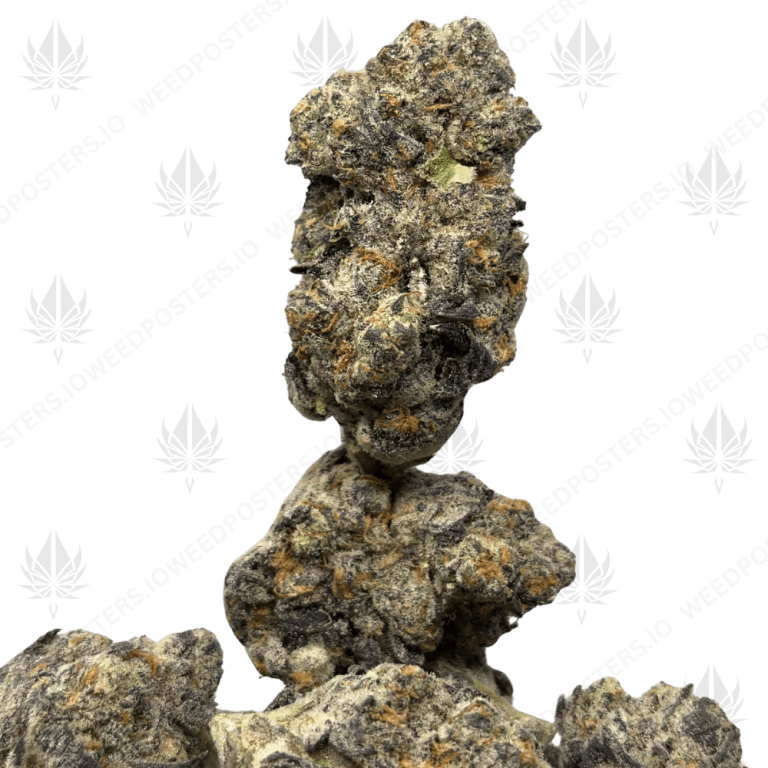 BLUE KUSH MINTZ (QUAD EXOTICS)