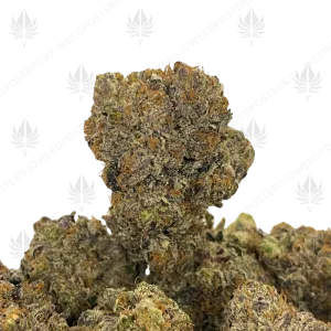 ULTRA GAS (TRIP GAS) - Image 1