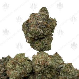 PINK JOLLY RANCHER (TRIP GAS)