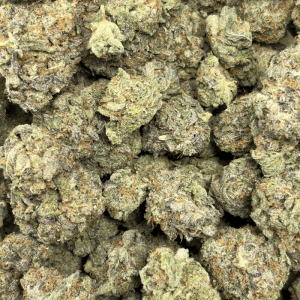 ROYAL WEDDING CRASHER (TRIP EXOTICS) - Image 3