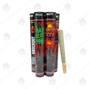 KNOCKOUT ULTRA INFUSED PRE-ROLL TUBES - Image 3