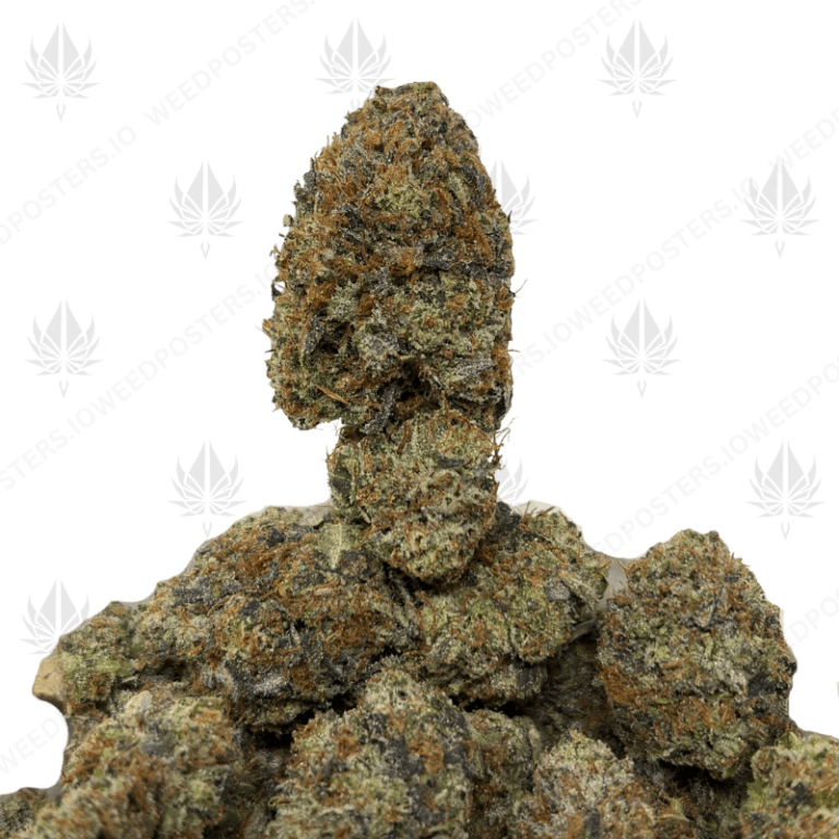 KOSHER PINK KUSH (LSO GAS)