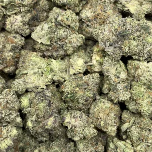 PABLO'S PINK (QUAD GAS) - Image 3