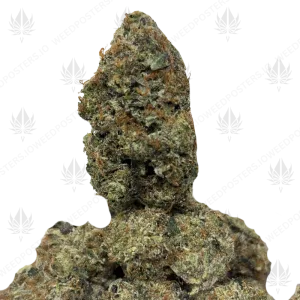 SUPREME MASTER KUSH (LSO GAS) - Image 1