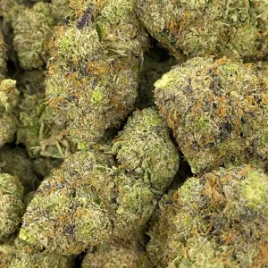 NUCLEAR BUBBA (QUAD GAS) - Image 3