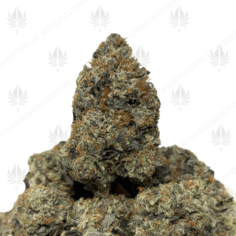 PRESIDENTIAL KUSH (LSO GAS)