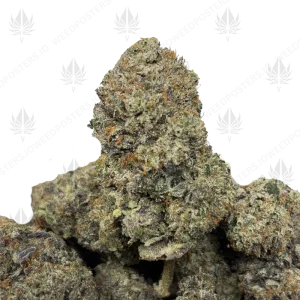 PINK PORNSTAR (LSO GAS) - Image 1