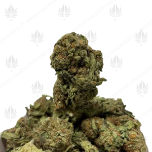 THIN MINT COOKIES (LOWS) - Image 1