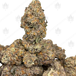 TRAINWRECK (SATIVA) - Image 1