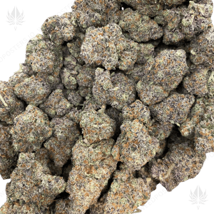 GREASY GARLIC (QUAD EXOTICS) - Image 2