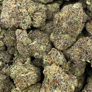 GREASY GARLIC (QUAD EXOTICS) - Image 3