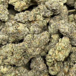 GMO SHERBERT (QUAD EXOTICS) - Image 3