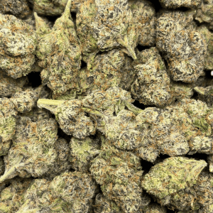 DONACELLO (LSO EXOTICS) - Image 3
