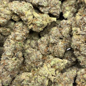 FROSTED FRUIT CAKE (LSO EXOTICS) - Image 3