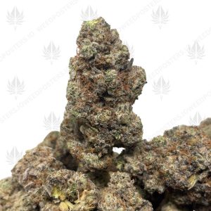 FROSTED FRUIT CAKE (LSO EXOTICS)