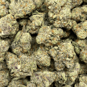 FRESH WATER BISCOTTI (LSO EXOTICS) - Image 3
