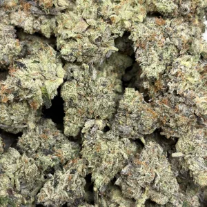 PIRATES PINK (TRIP GAS) - Image 3