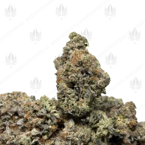 PIRATES PINK (TRIP GAS) - Image 1