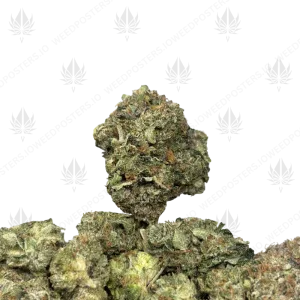 PINK UNICORN (TRIP GAS) - Image 1