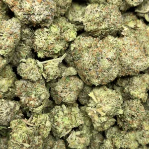 PINK PUSSY (TRIP GAS) - Image 3