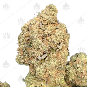 DOMINATOR OG (TRIP GAS) - Image 1
