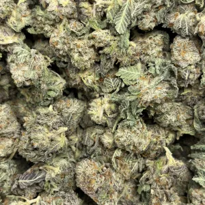 OREO BLIZZARD (TRIP EXOTICS) - Image 3