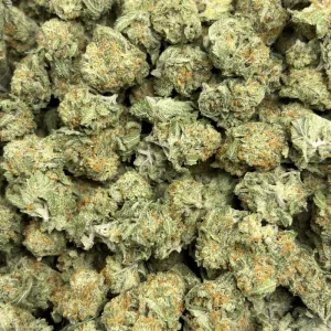 PINA COLADA HAZE (SATIVA) - Image 3