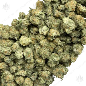 PINA COLADA HAZE (SATIVA) - Image 2