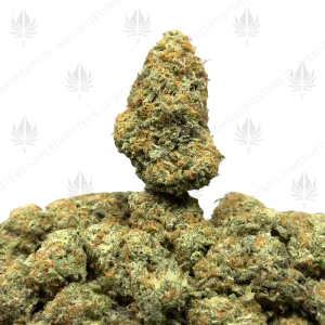 PINEAPPLE EXPRESS (SATIVA) - Image 1