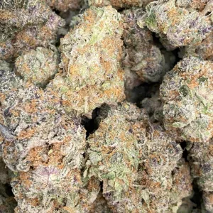 BLACK CHERRY TROPICANA (TRIP EXOTICS) - Image 2