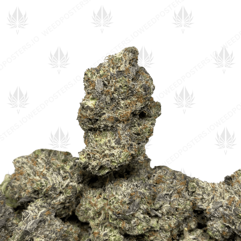 HIGH OCTANE BUBBA (QUAD GAS)