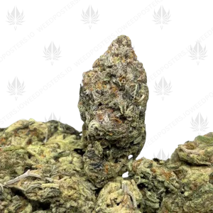ROYAL PUNCH (TRIP EXOTICS) - Image 1