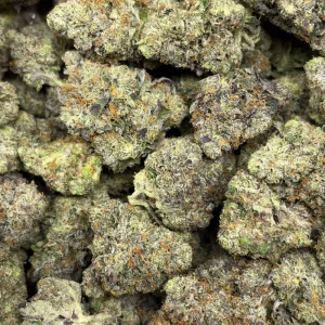 PINK HEATER (TRIP GAS) - Image 3