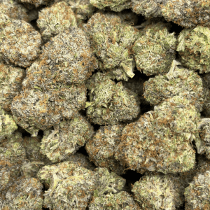 GULAG PINK (QUAD GAS) - Image 3