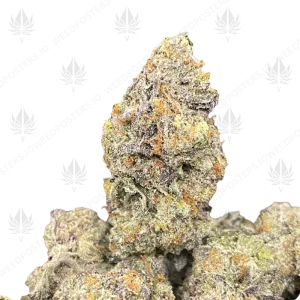 FROSTED VANILLA CAKE (TRIP EXOTICS) - Image 1