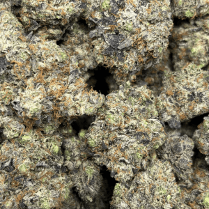 BLACK GAS (QUAD GAS) - Image 3
