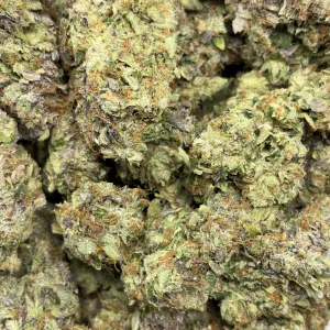 PINK ROCKSTAR (TRIP GAS) - Image 3