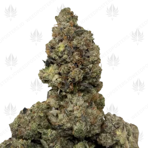 DARTHVADER GLUE (TRIP GAS) - Image 1
