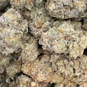 WIZARD FRITTER (LSO EXOTICS) - Image 3